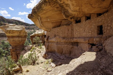 All Pueblo Council of Governors Historic Return to the Bears Ears Landscape